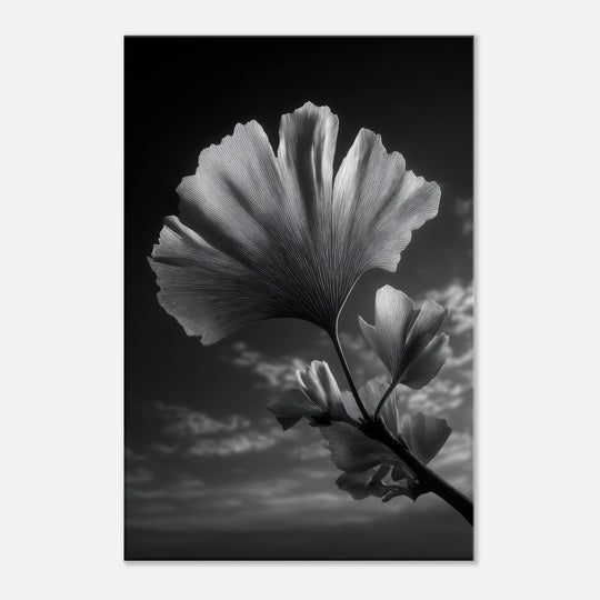 e55fd2ca-e899-4bb7-862a-2ff86f351cc3