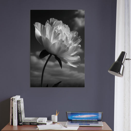 e64fe46b-6550-449b-b53f-7c4df8e3a4ed