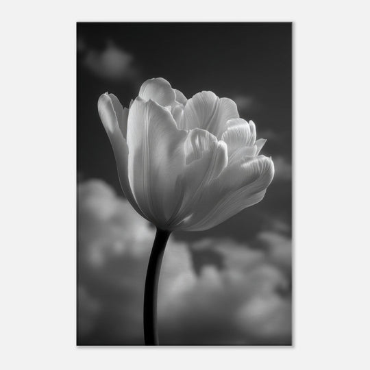 e6fd6524-e549-494e-a390-e431709e1632