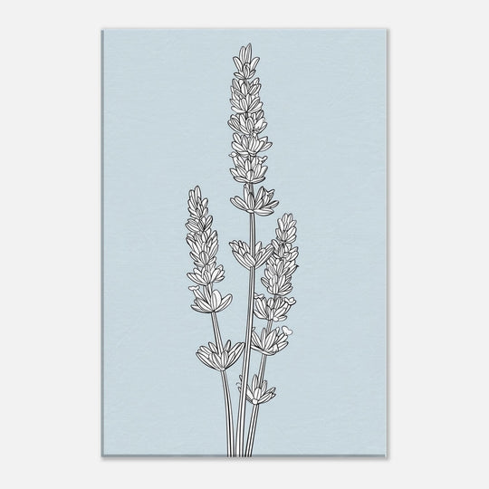 e8378d24-6793-4567-aa77-5ffa81271156