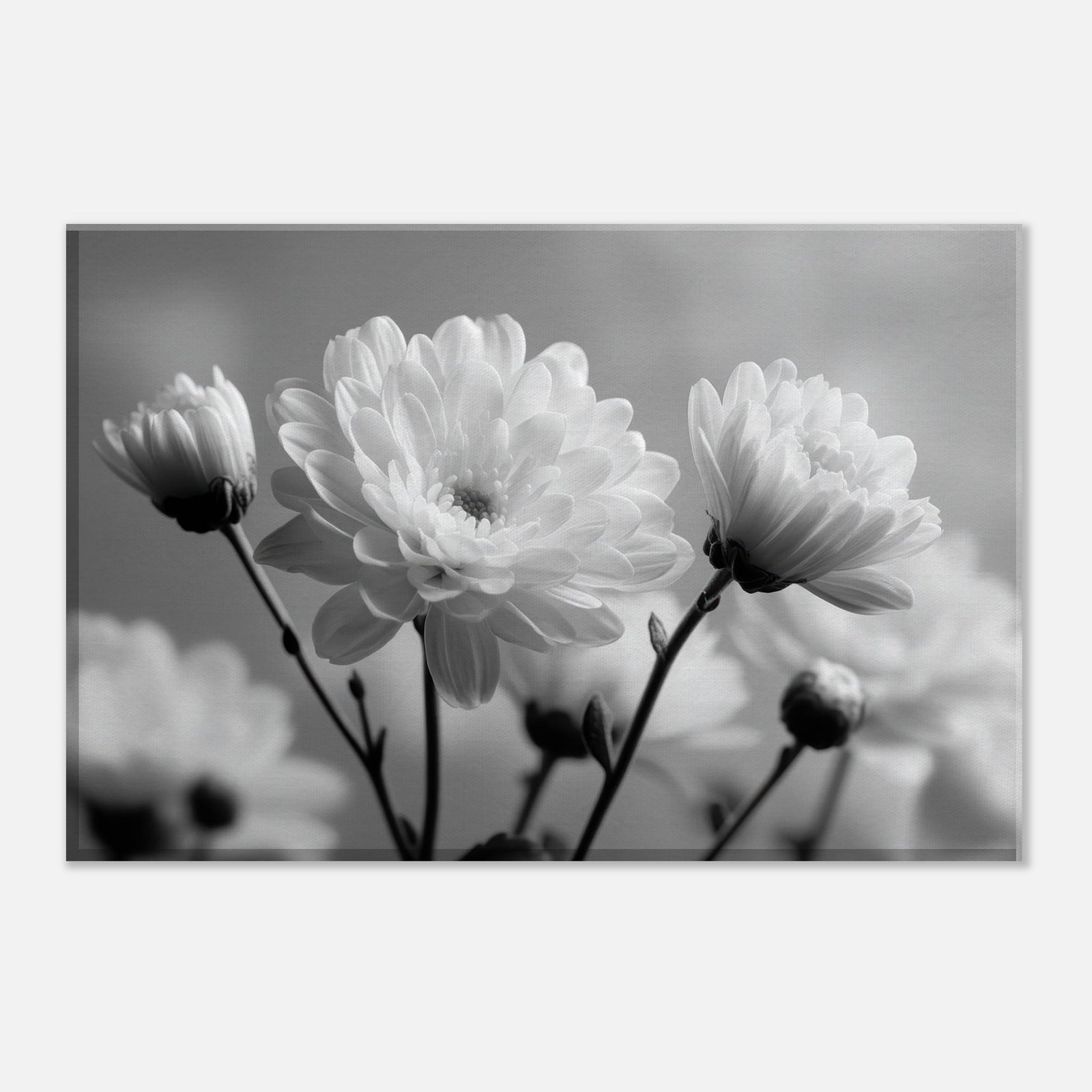 e95b4b9e-ecda-4709-a9e5-665be3b37516