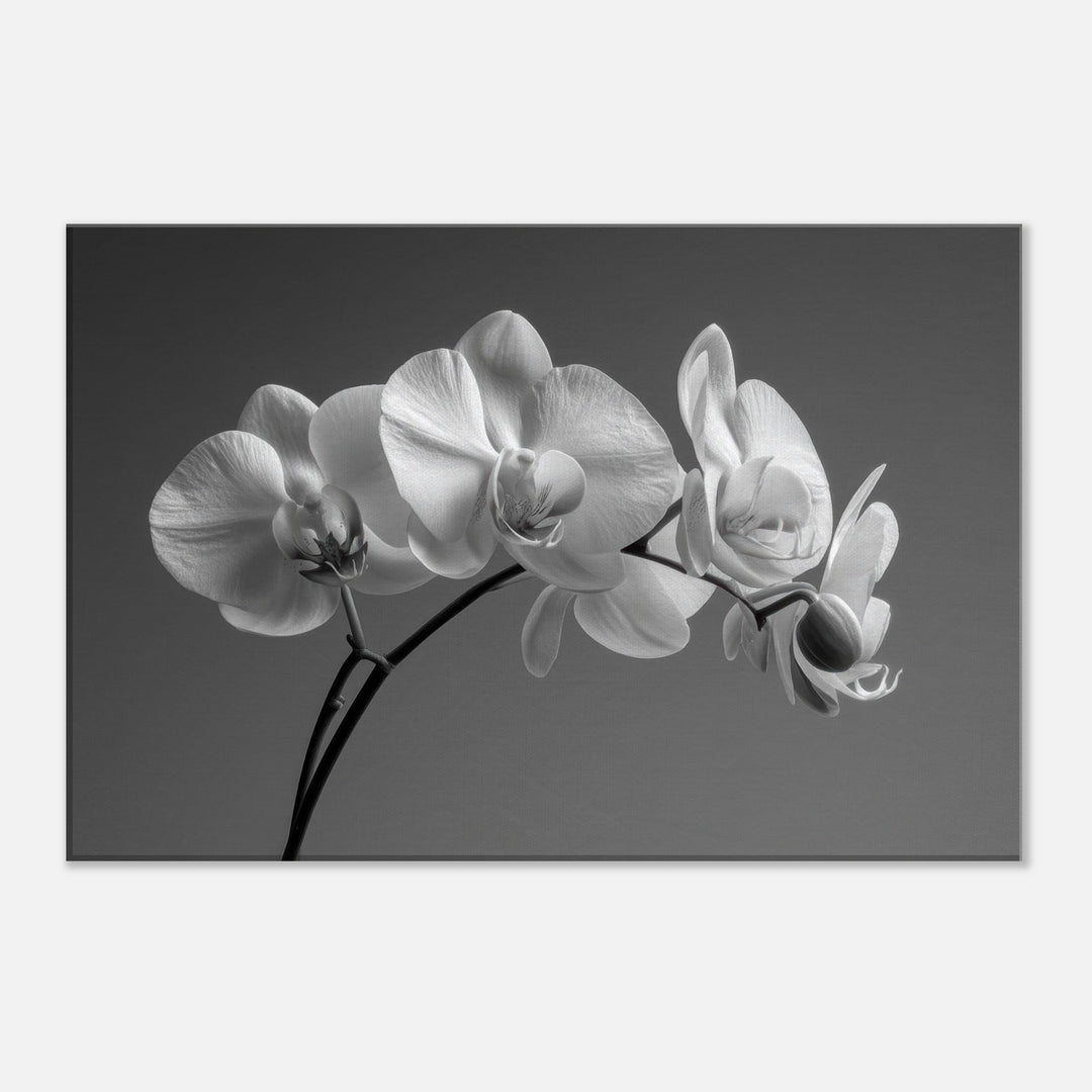 e95dc309-6cb0-4f74-a3fa-5717f79fa3e9