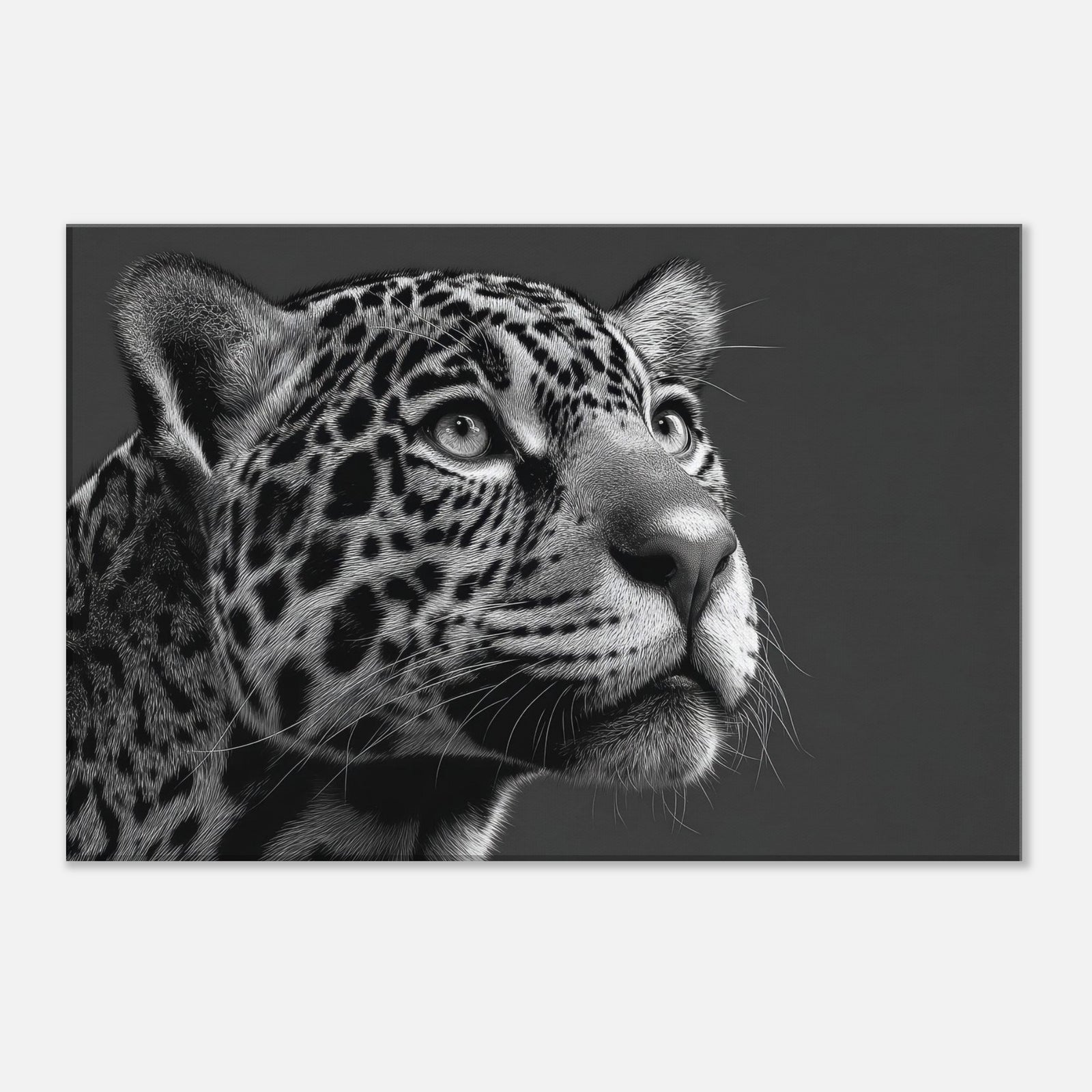 e9d61b08-101a-4d12-94da-a2db76c1b244