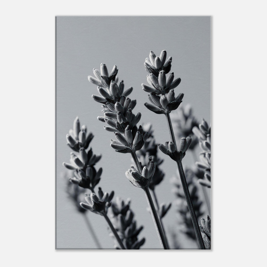 ea3b8f9e-3d06-4042-9843-ecc3ed1e16da