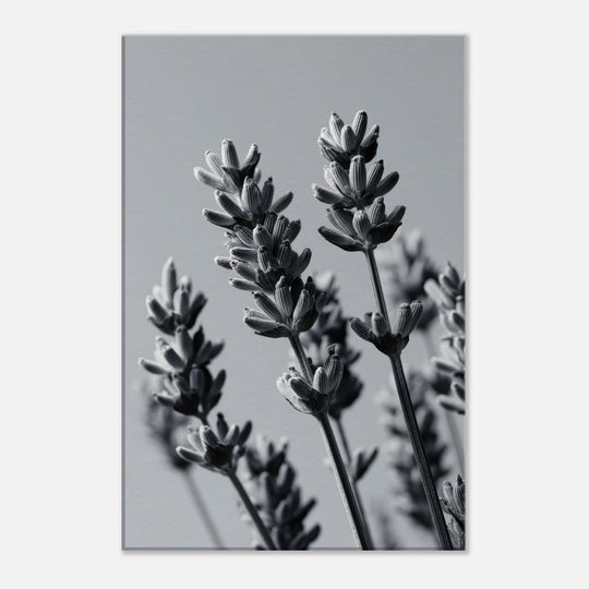 ea3b8f9e-3d06-4042-9843-ecc3ed1e16da