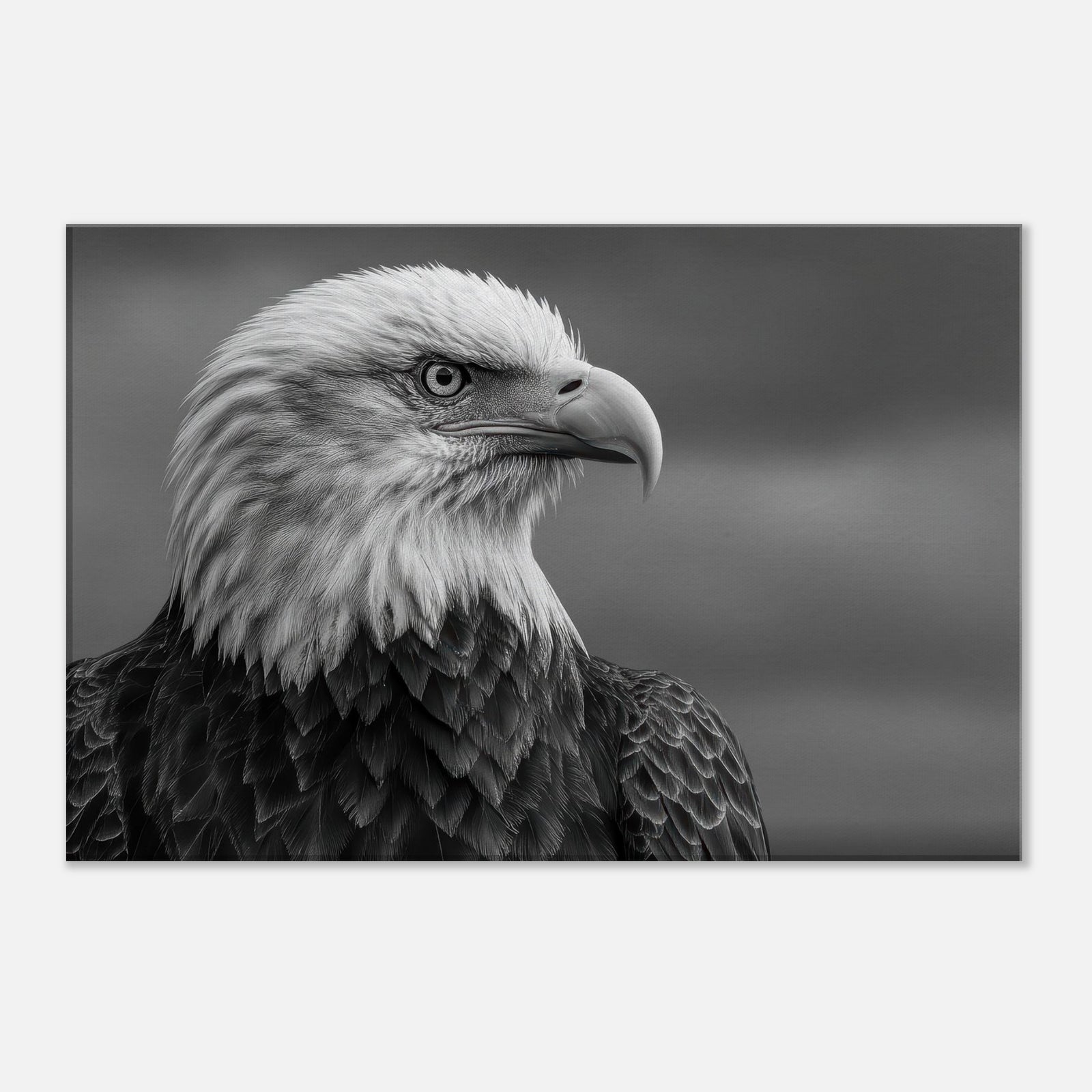 eaae8d95-6b92-4e74-87ba-286cd3c92a38