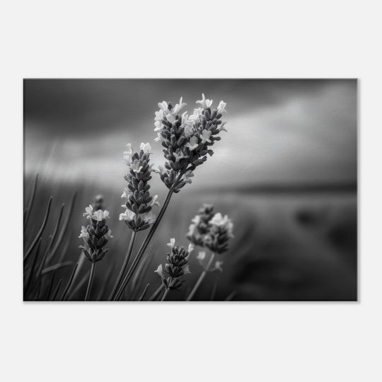 eac9d132-0977-41a9-b070-7316c80c04ed