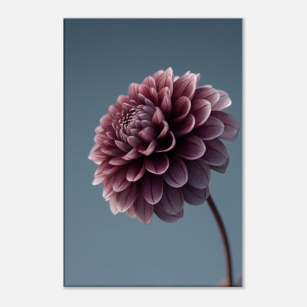 eaff6a77-1841-4815-b570-06e10b2ccf1c