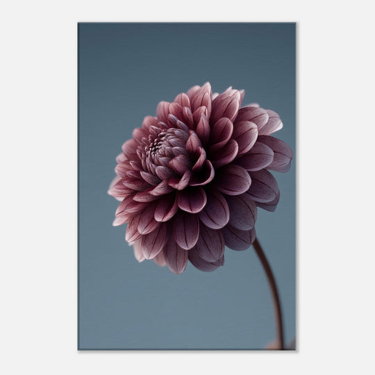 eaff6a77-1841-4815-b570-06e10b2ccf1c