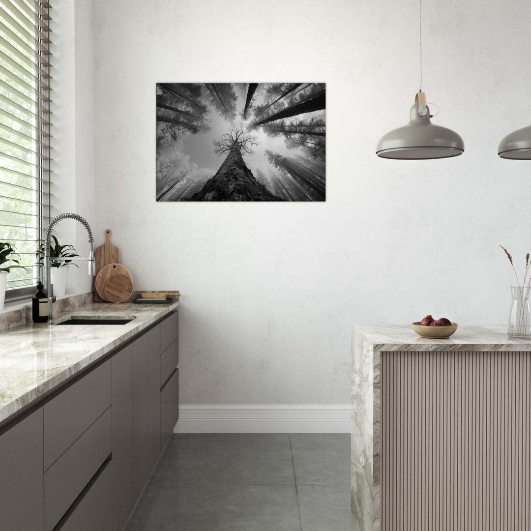 eb2beb00-144a-4ca0-99d2-0fc730c3ca55