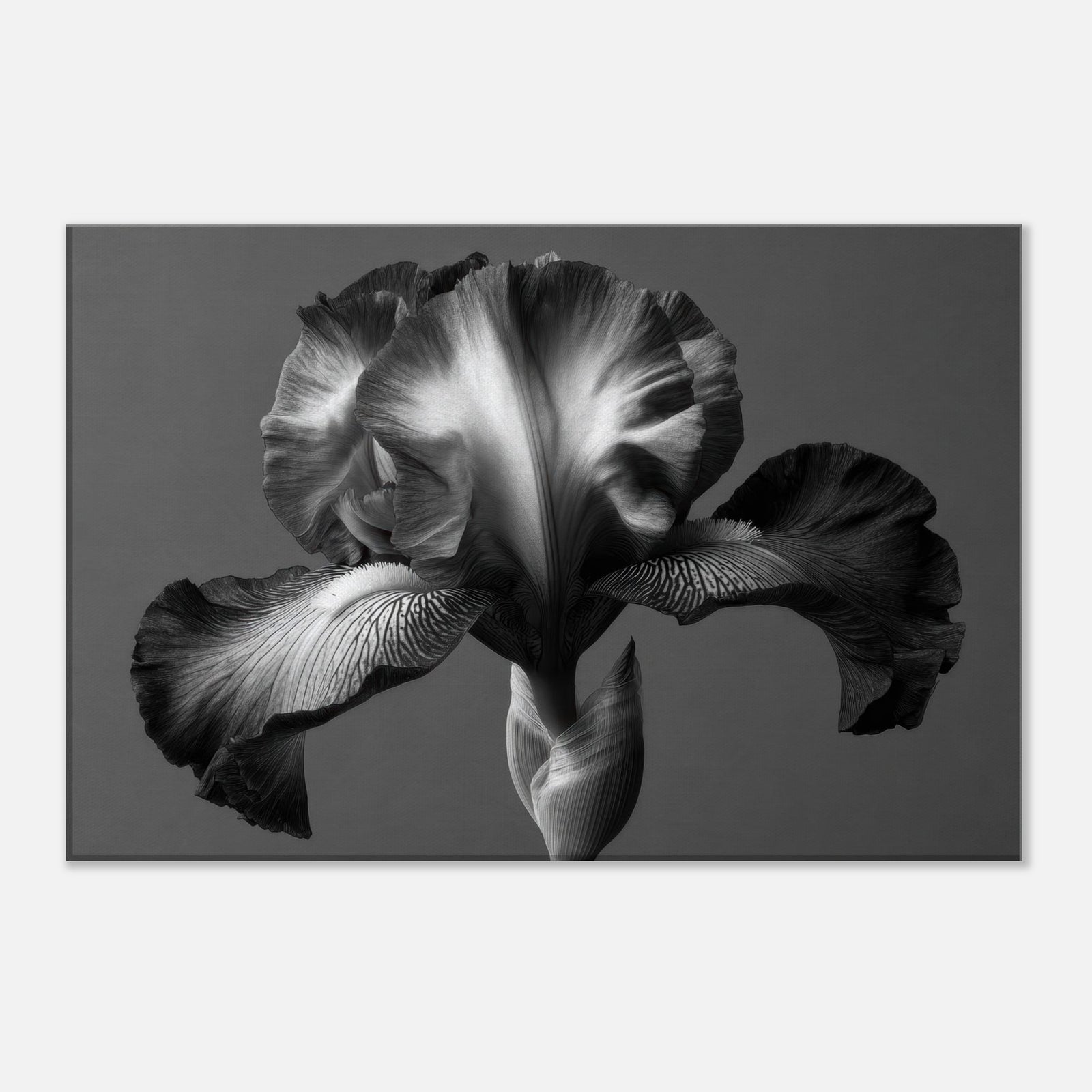 eb3d6e87-2770-47c3-85d6-8f9baf0b3118