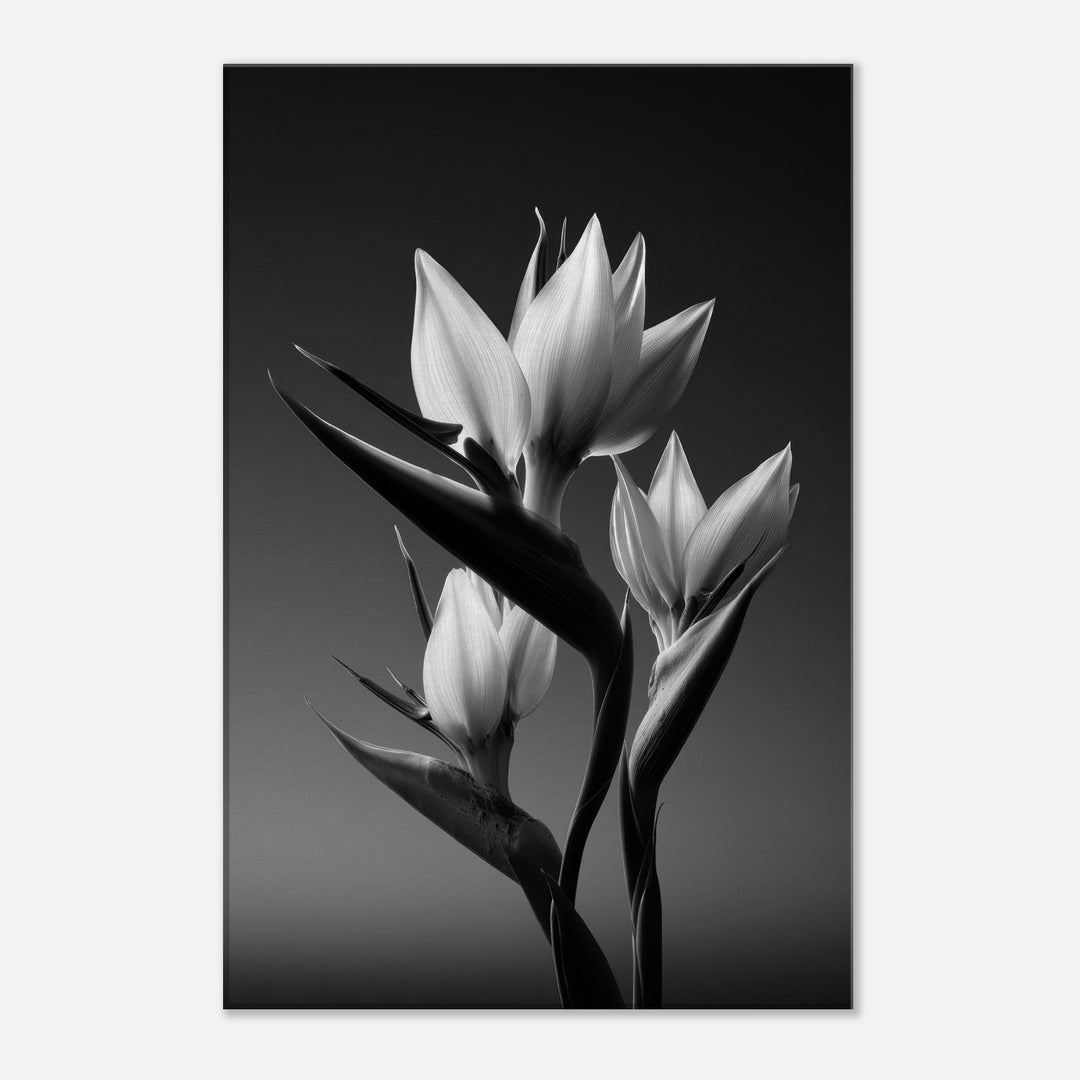 ebc7766e-e80c-4812-80f4-64ecbbc6f387