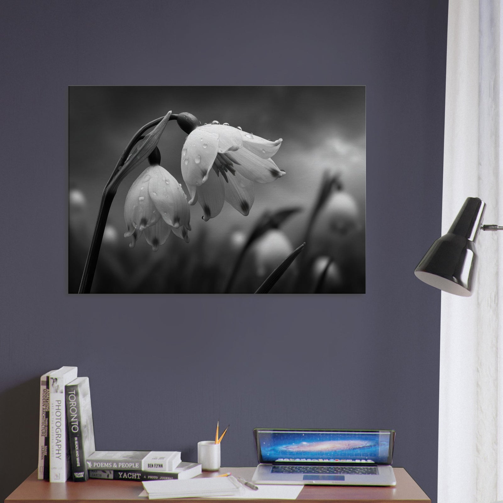 ec930c28-55c7-4bf1-a3c4-d6b558309a55