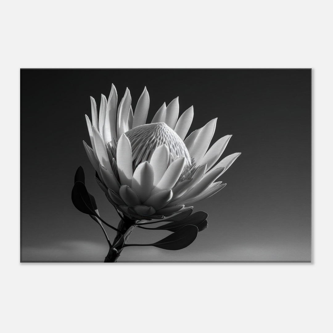 ecf9403d-3219-4ec8-9f50-44d6c874db2f