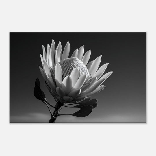 ecf9403d-3219-4ec8-9f50-44d6c874db2f