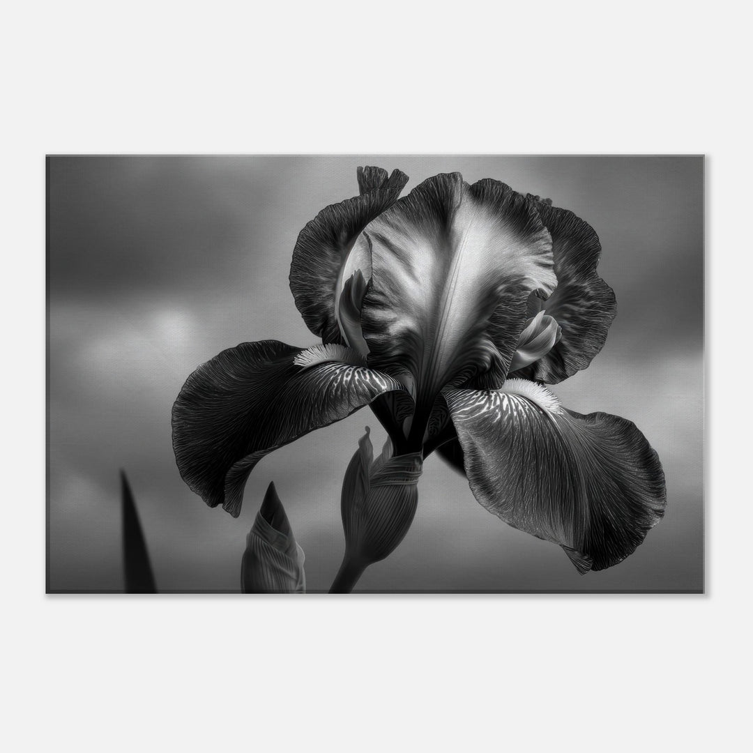 ecff204c-977a-4747-b00a-d6844a5cb74f