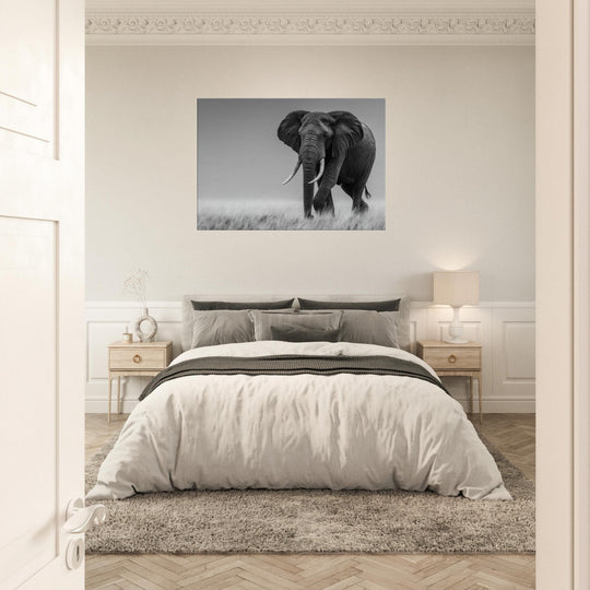 ed05df2e-4bec-4445-8b74-3d242bbabeec