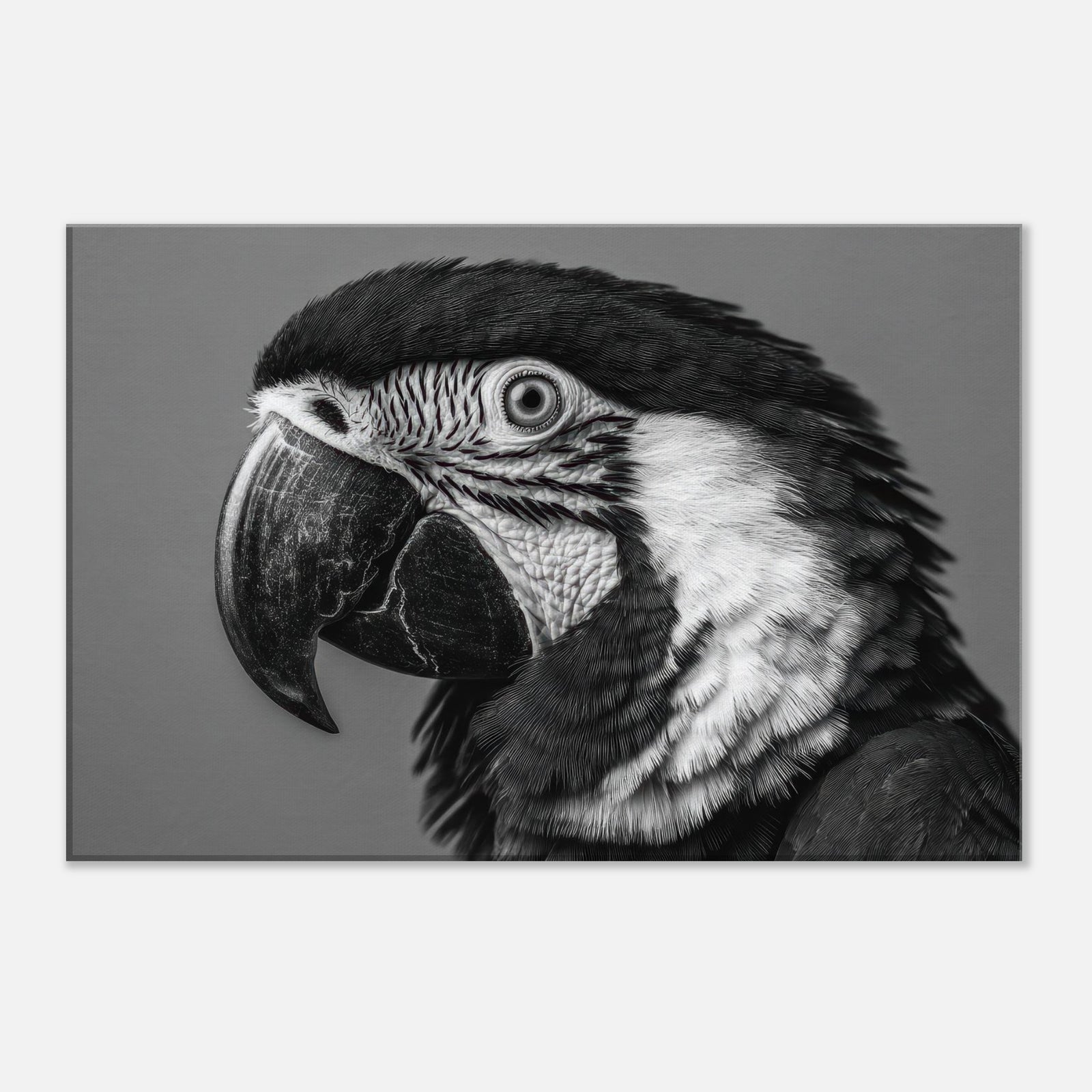 ed7f27fa-afdc-4f9b-ad5d-b1d4c8769cdc