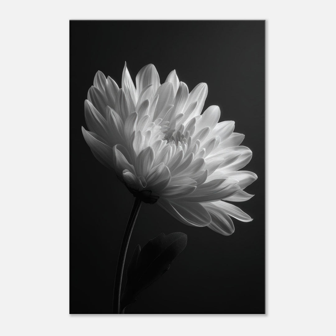 edb107bb-c233-49e7-9ba6-188d8854b54d