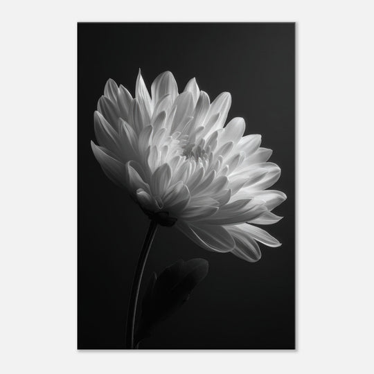 edb107bb-c233-49e7-9ba6-188d8854b54d