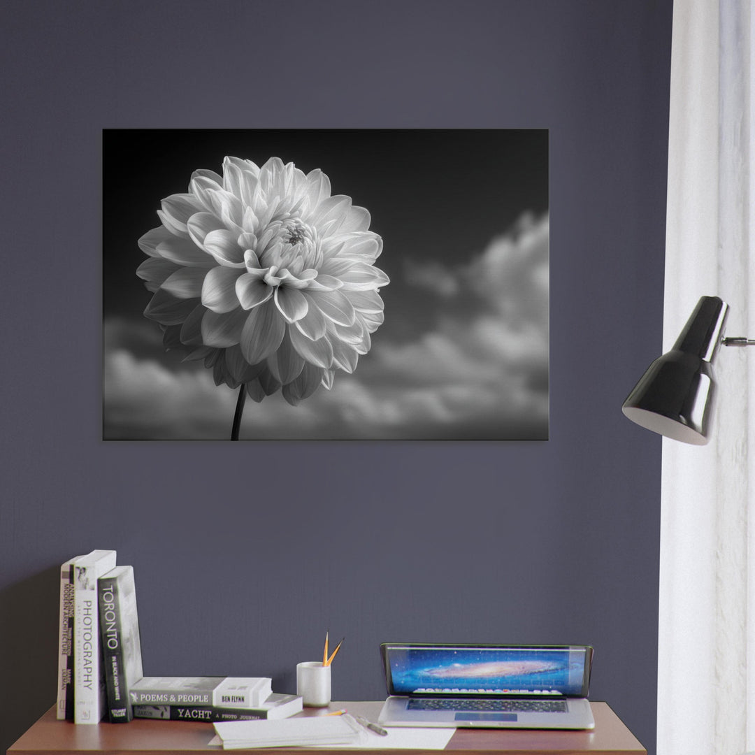 ee115990-c5af-44f2-86a4-0489a8bb0516