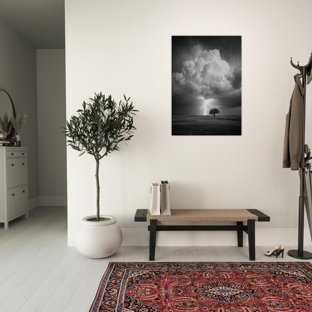 ee42c3fc-1f2a-4834-ac80-9187378e81c5