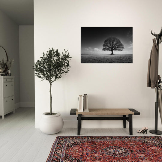 ee9e4934-8d07-4120-98d3-3197de175988