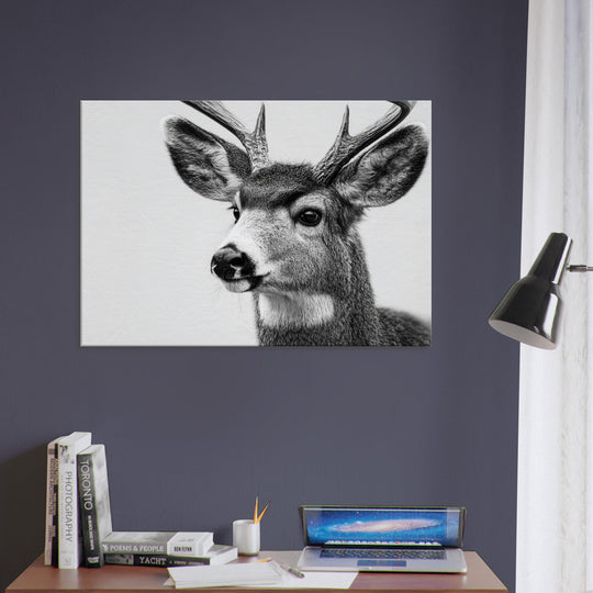 eec22fa8-b023-4de9-90fe-fc8dc4b6b467