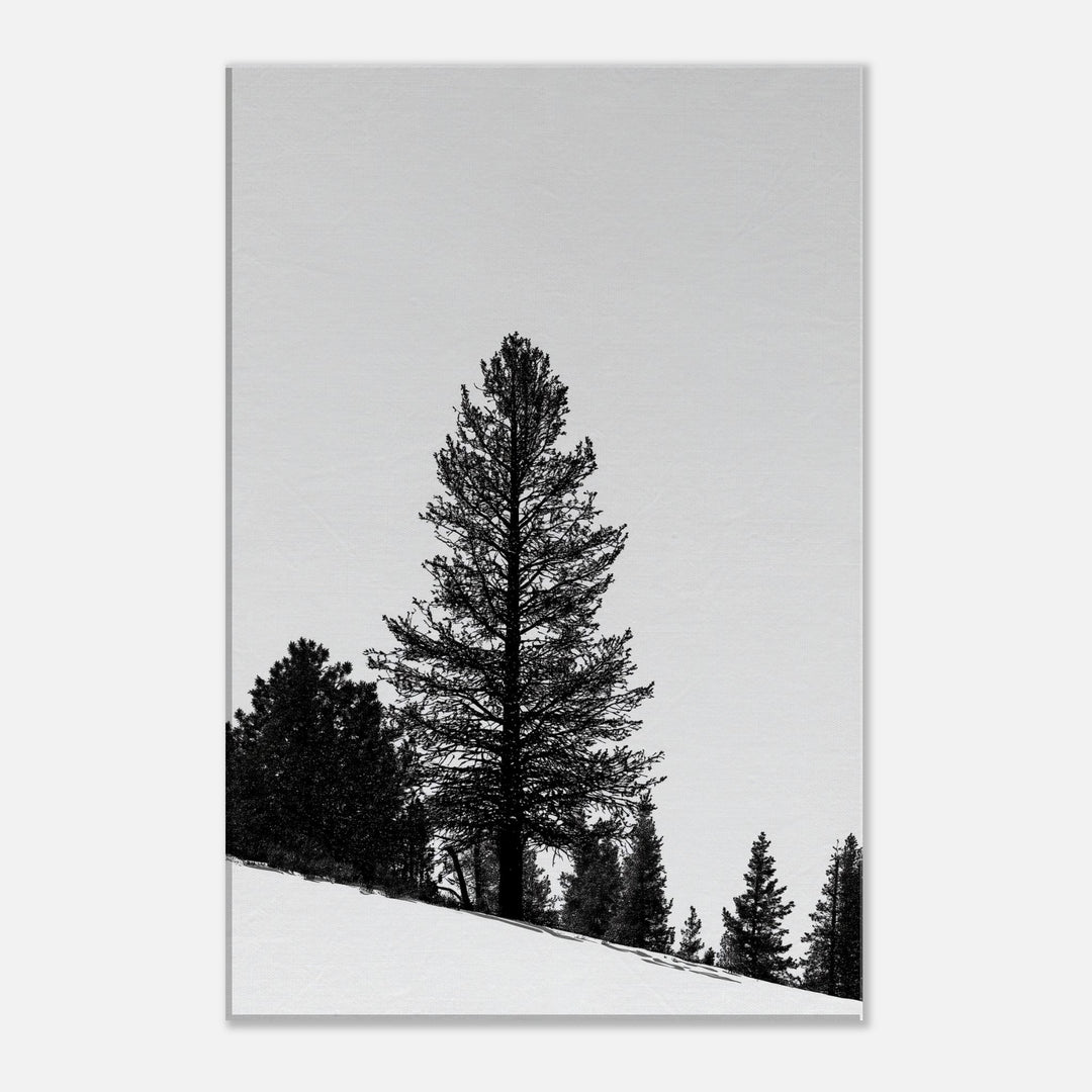 ef908f5c-5591-49f4-8063-c234d1d5fbaa