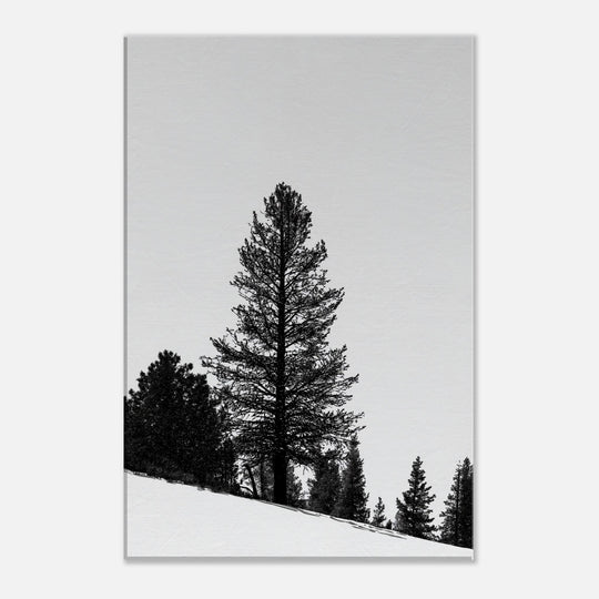 ef908f5c-5591-49f4-8063-c234d1d5fbaa