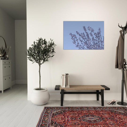 efb3447e-4220-4a2c-a28d-77a77df39eaa