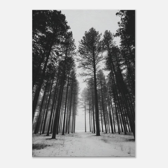 efd9ea9e-4cdd-4265-aa78-2904b484a7df