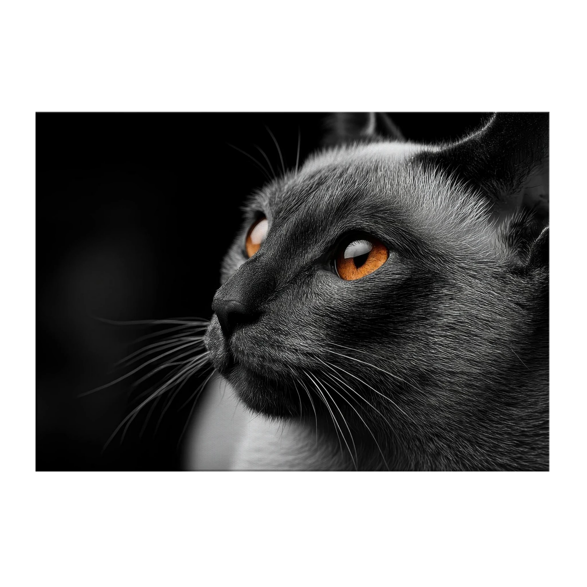 1392694b-a878-4799-96c1-b222d9aca8fb