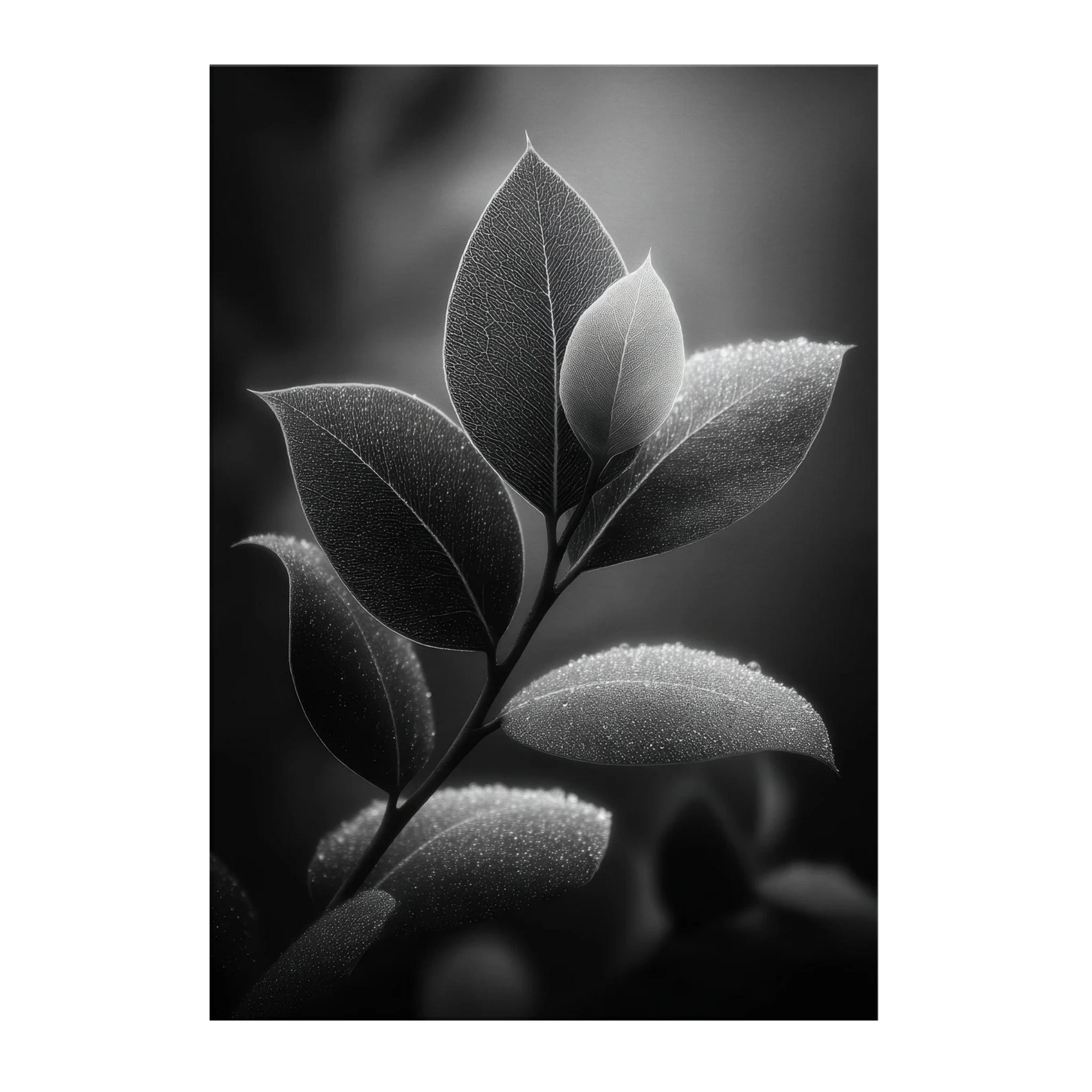 2d374f37-8840-4f33-8ee4-54ea8854ad1b