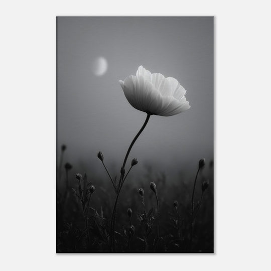 f00c0651-77e7-4c23-9926-c34f56551179