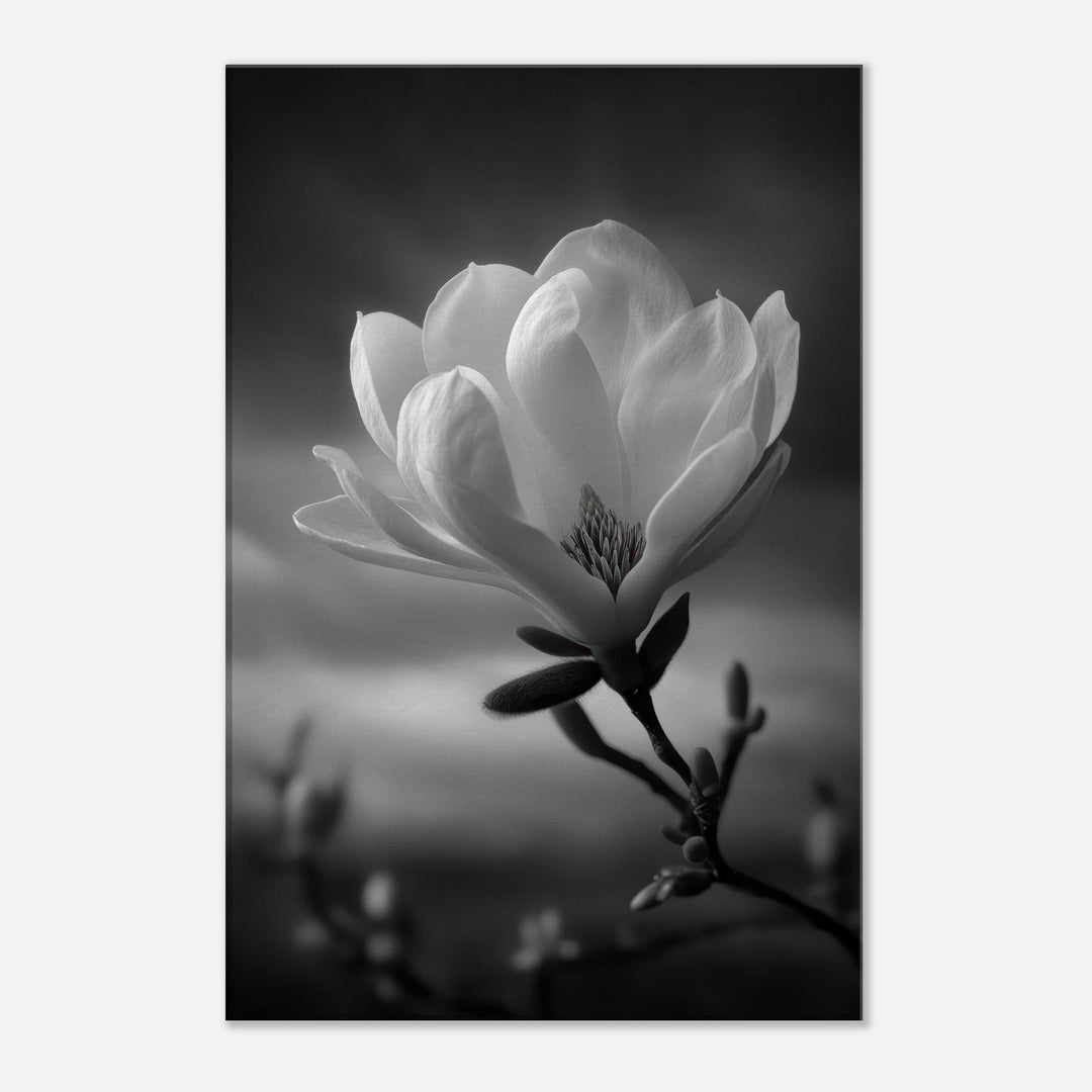 f091ab66-e3d1-4ffe-883e-931d971c1127