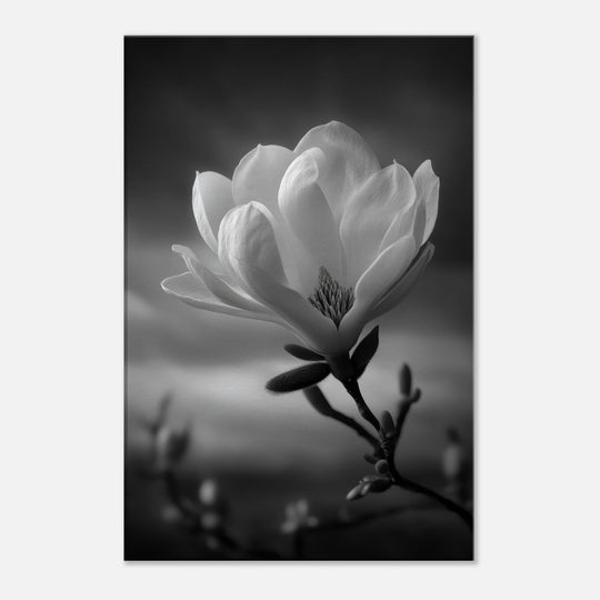 f091ab66-e3d1-4ffe-883e-931d971c1127