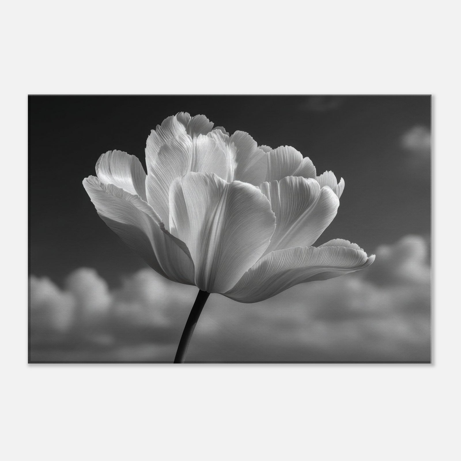 f1caff50-1879-4c13-9c98-c1fedce6ceed