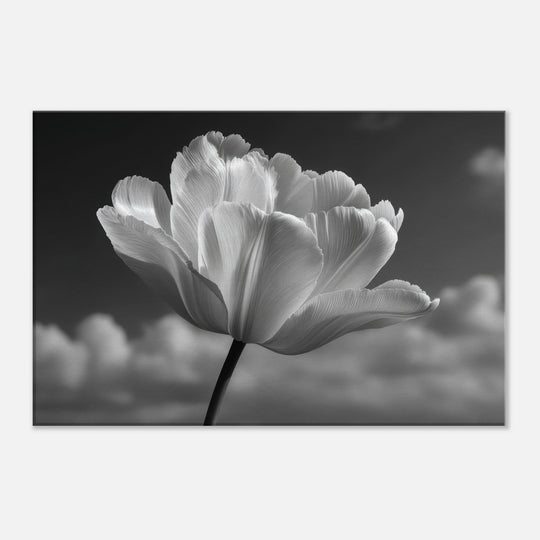 f1caff50-1879-4c13-9c98-c1fedce6ceed