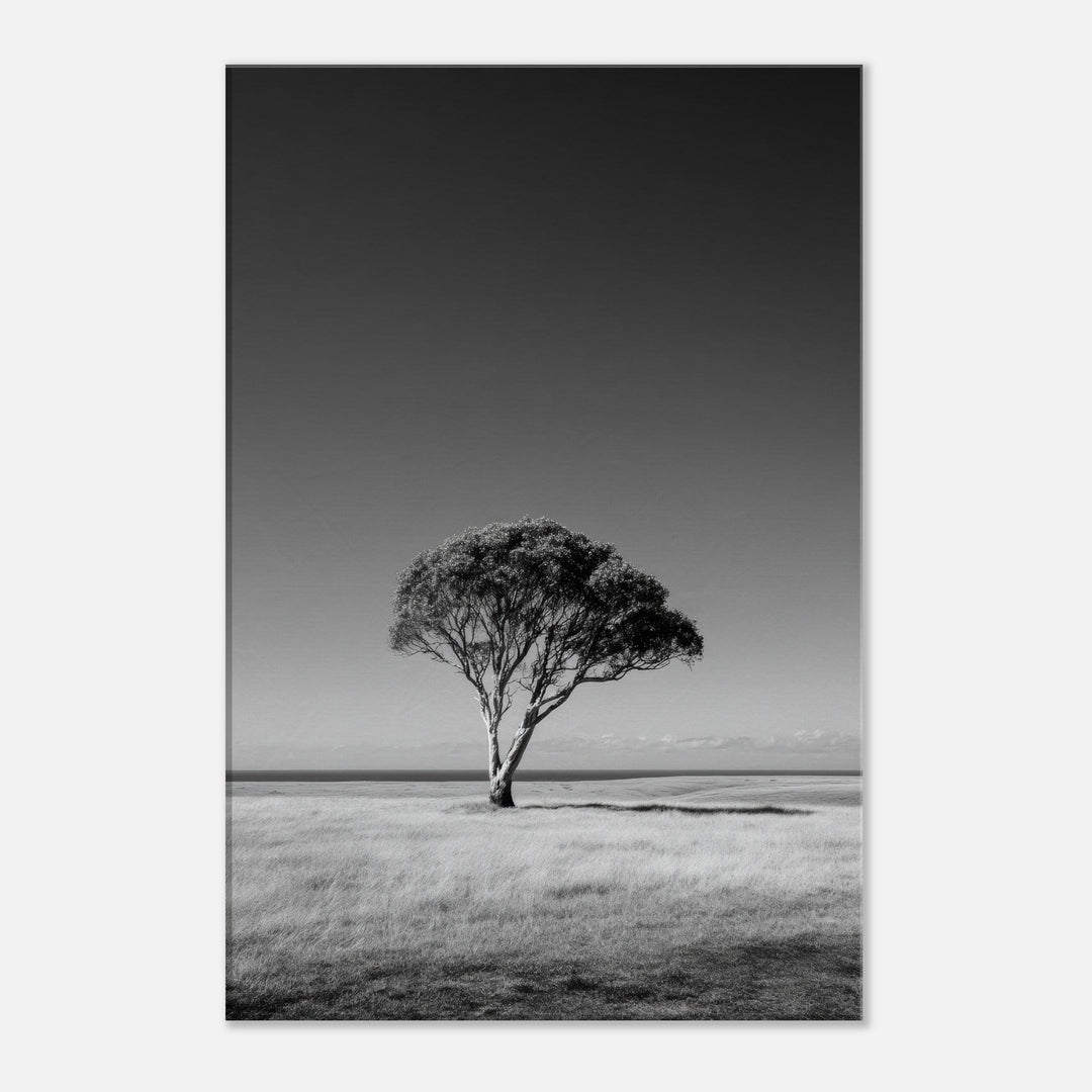 f1d911b8-14a4-4b11-be5c-00a48a3dbb05