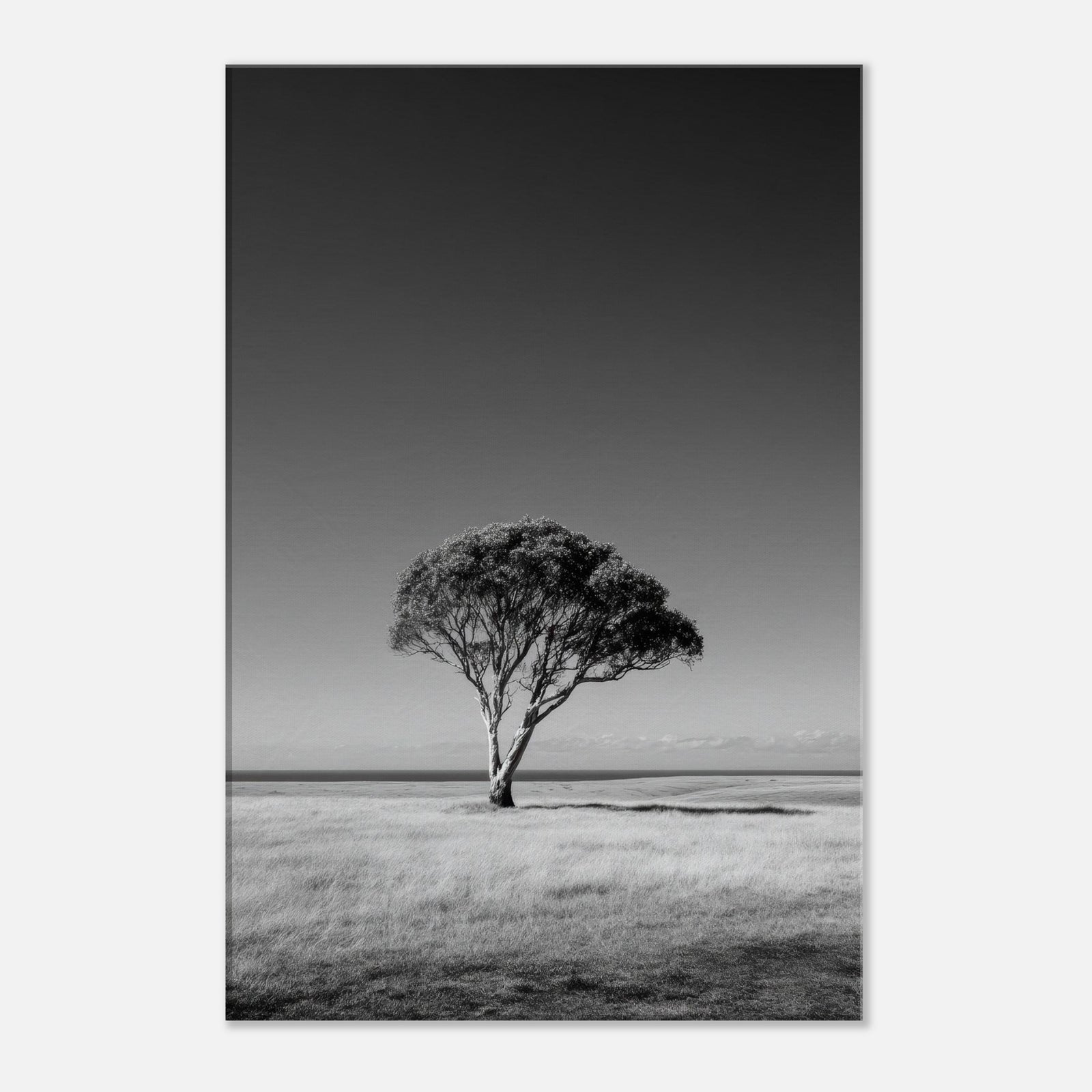 f1d911b8-14a4-4b11-be5c-00a48a3dbb05