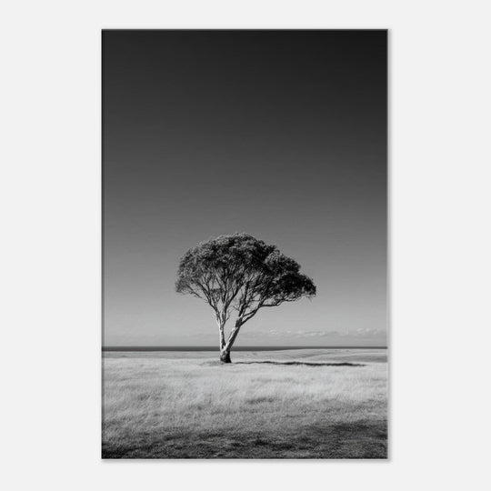 f1d911b8-14a4-4b11-be5c-00a48a3dbb05