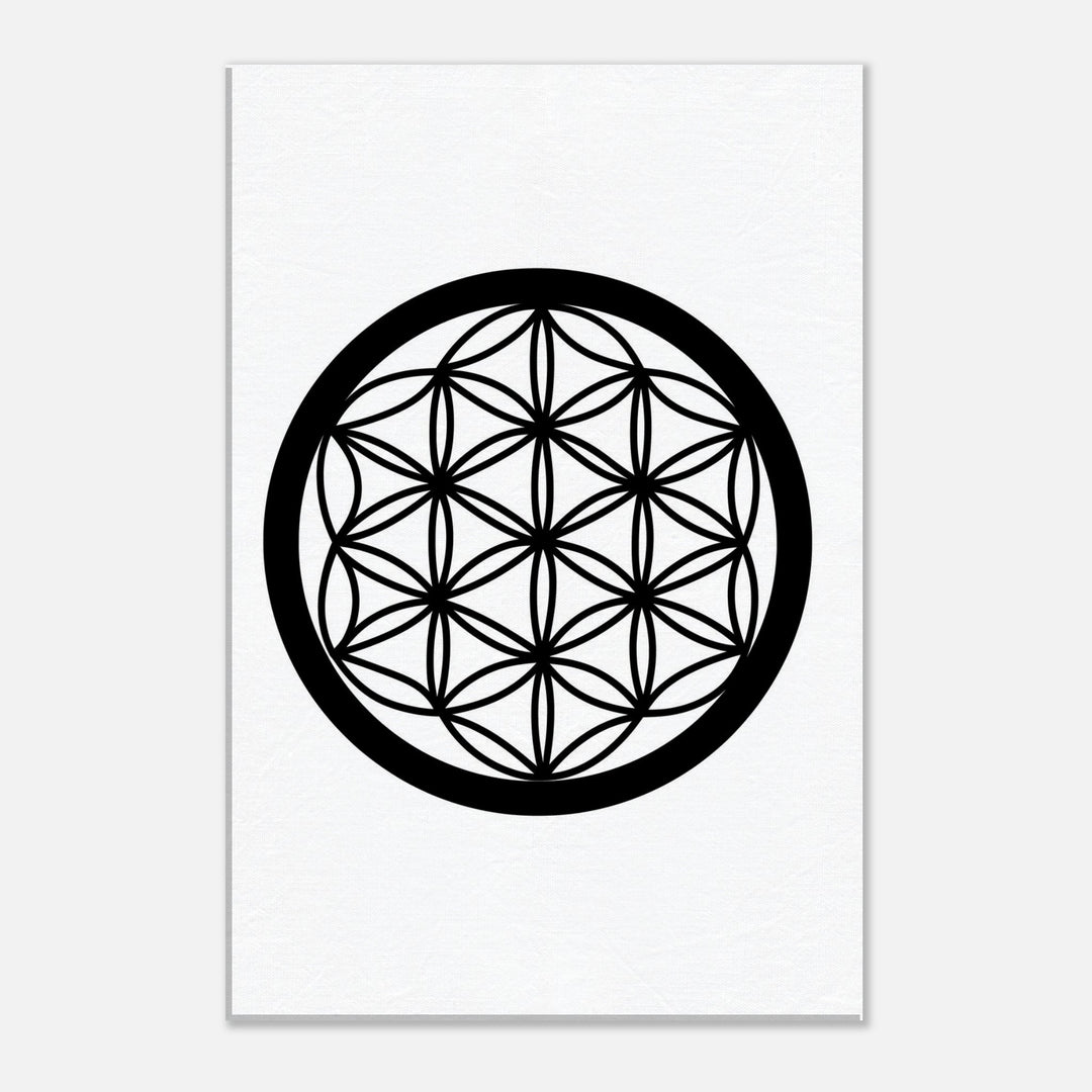 f1fb66c3-f041-4354-b971-95024f7d0a46