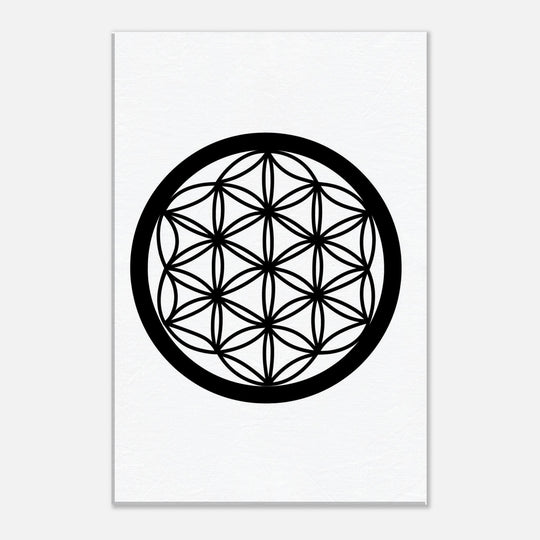 f1fb66c3-f041-4354-b971-95024f7d0a46