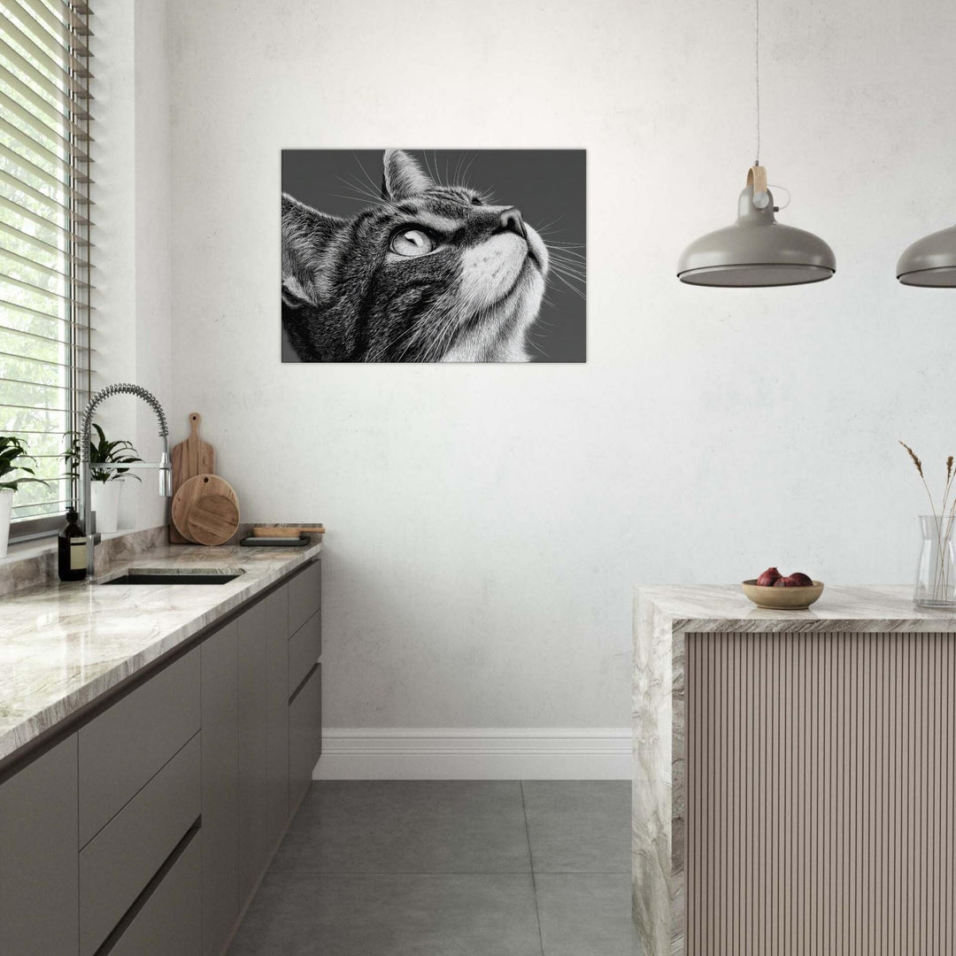 f43467af-b760-478b-92fb-eb505e0b6393