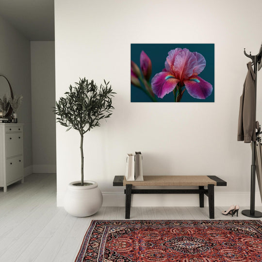 f517a21f-f50c-4316-b5cc-be78f031325a