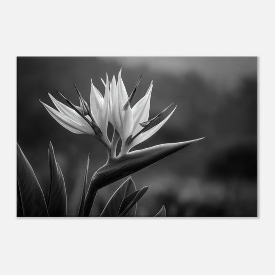 f5d492c6-c9dc-4245-b35d-c030e4dbbbfd