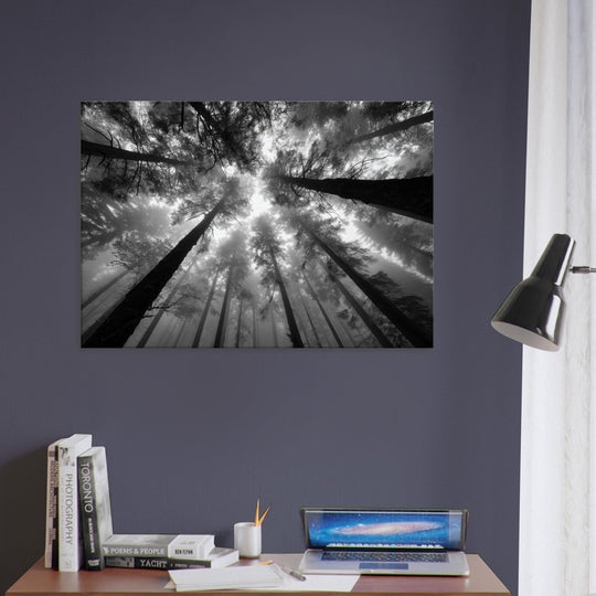 f6190625-9afe-4f50-bca9-161838b682fa