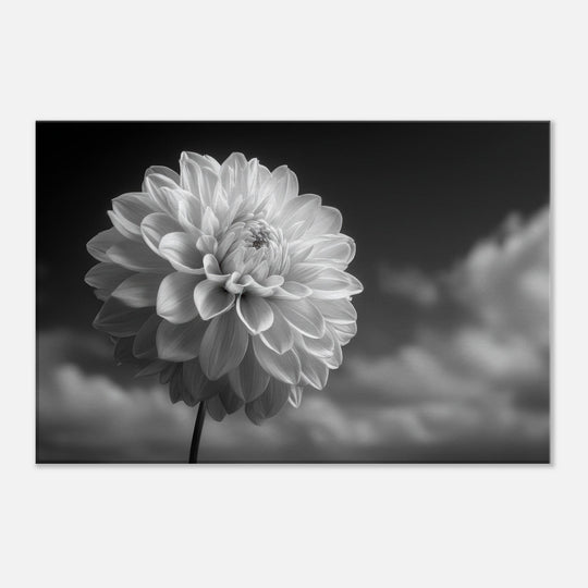 f72afb7b-2ac2-441c-be44-06ad1cd389f9