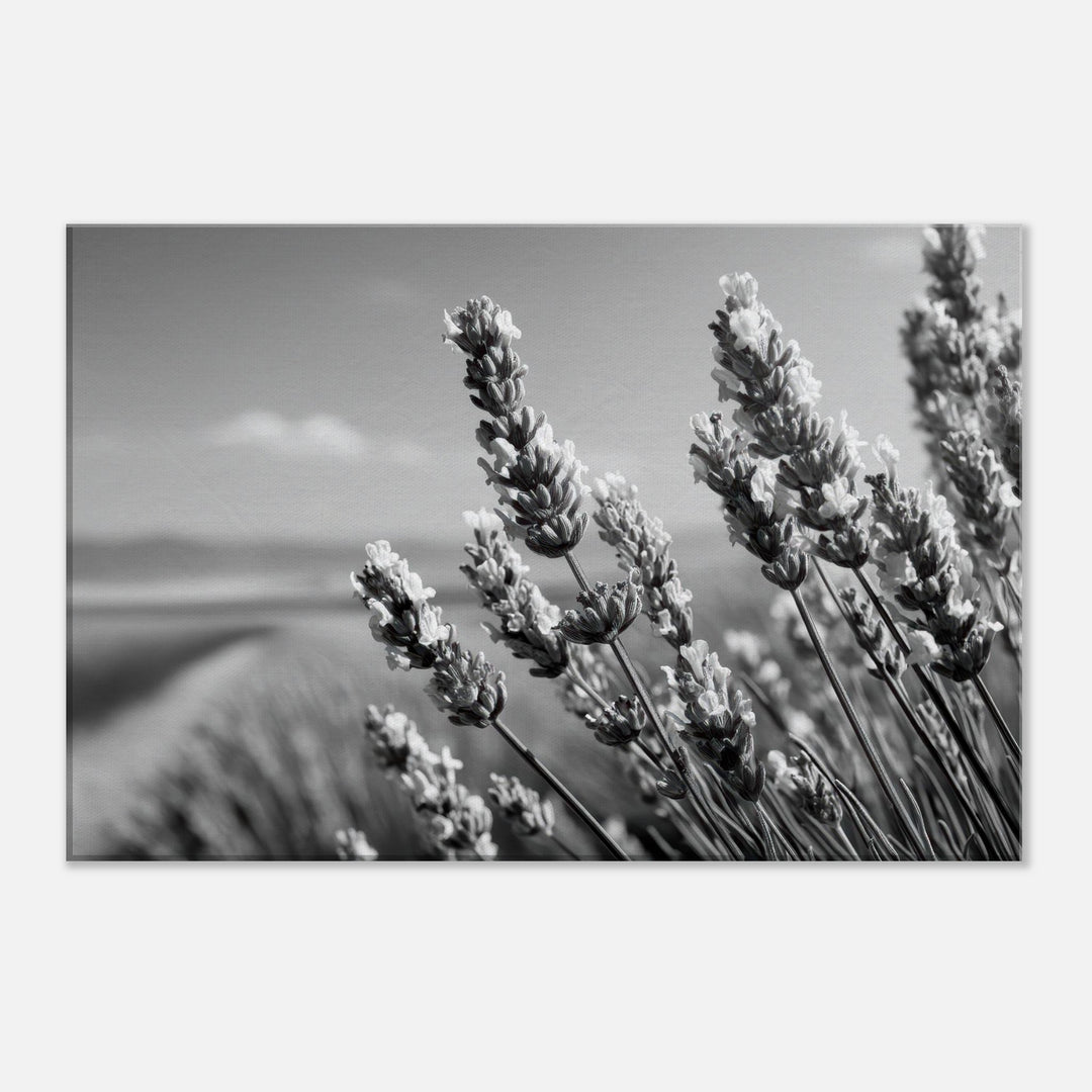 f7c3a0e0-3e60-4786-9d78-11932207b228